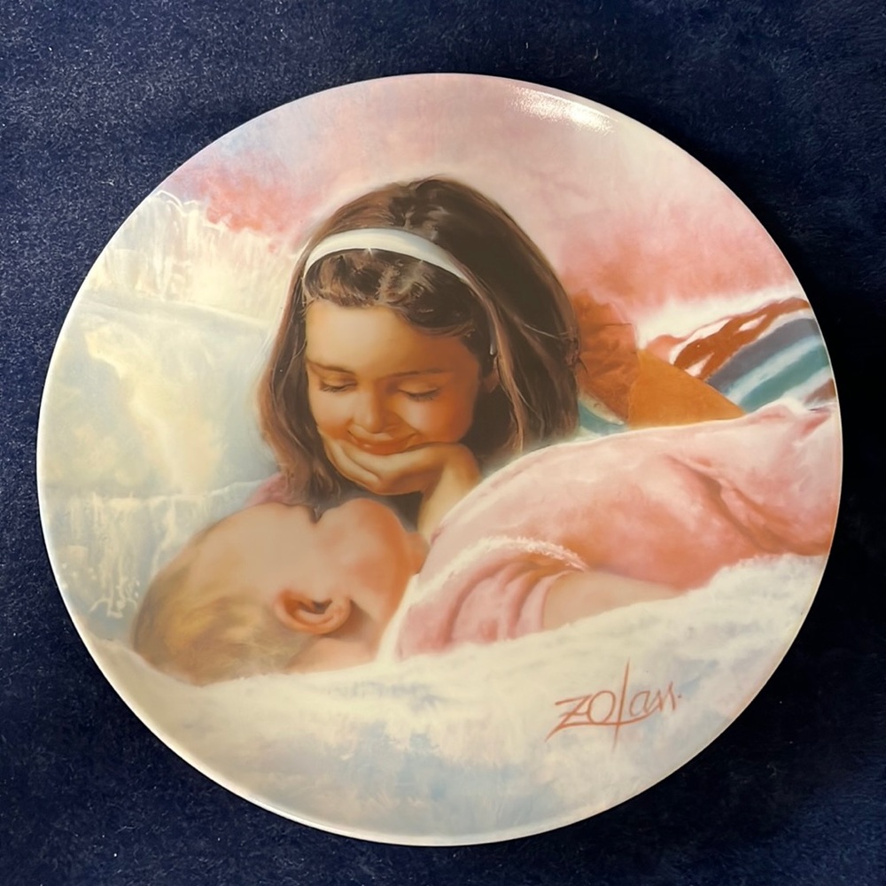 Donald Zolan VTG Plate